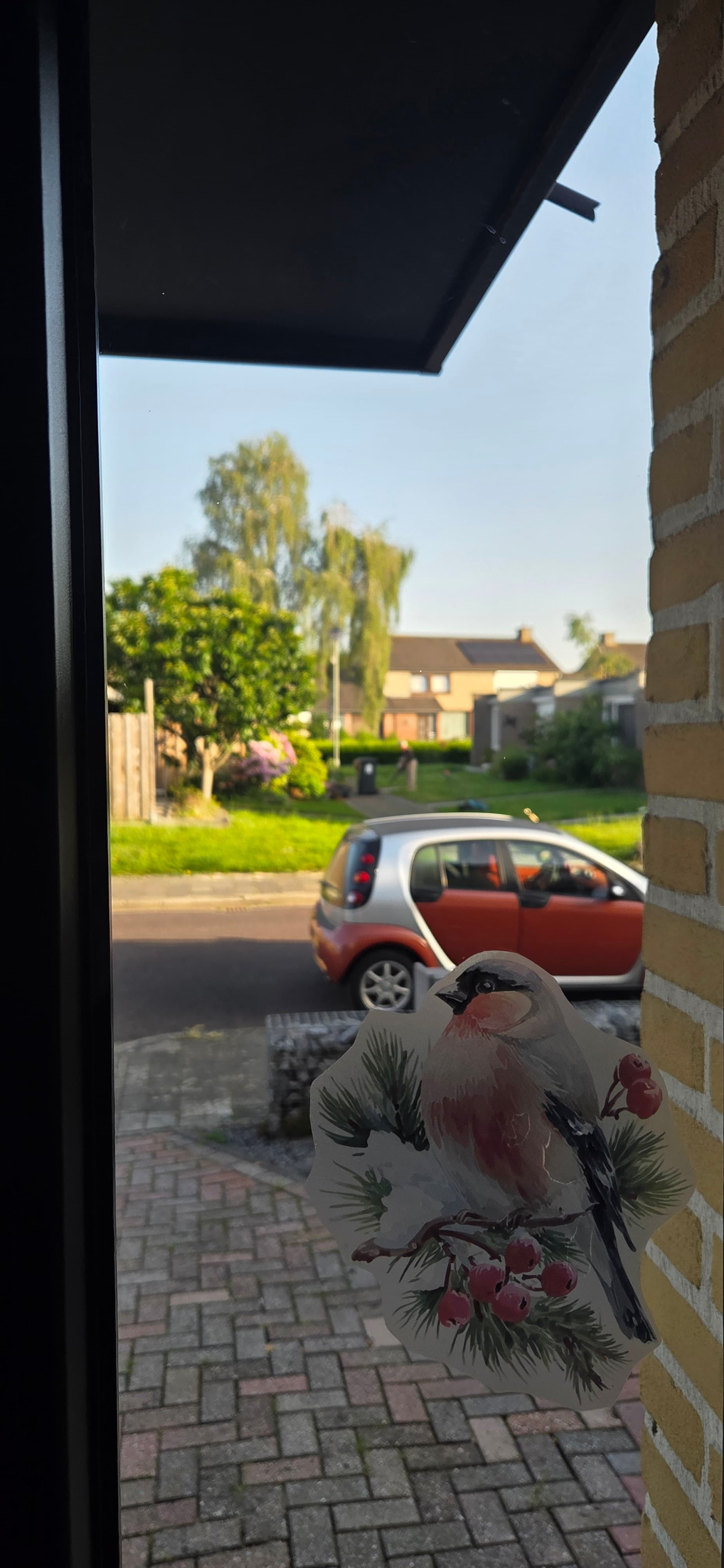 Voortuin